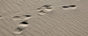 Pisadas humanas marcadas en la arena.